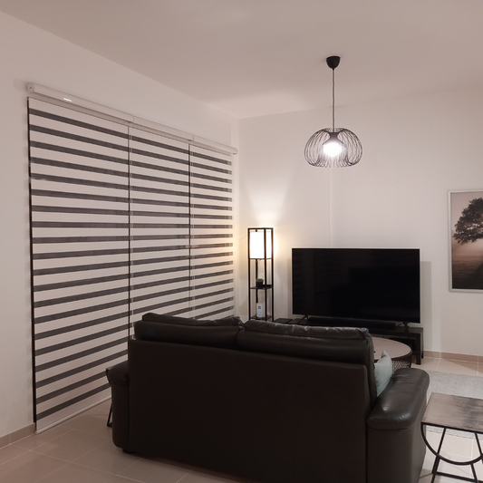 Zebra Blinds